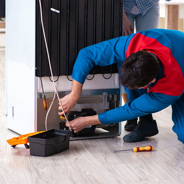 what are the common refrigerator repair services in New Auburn WI